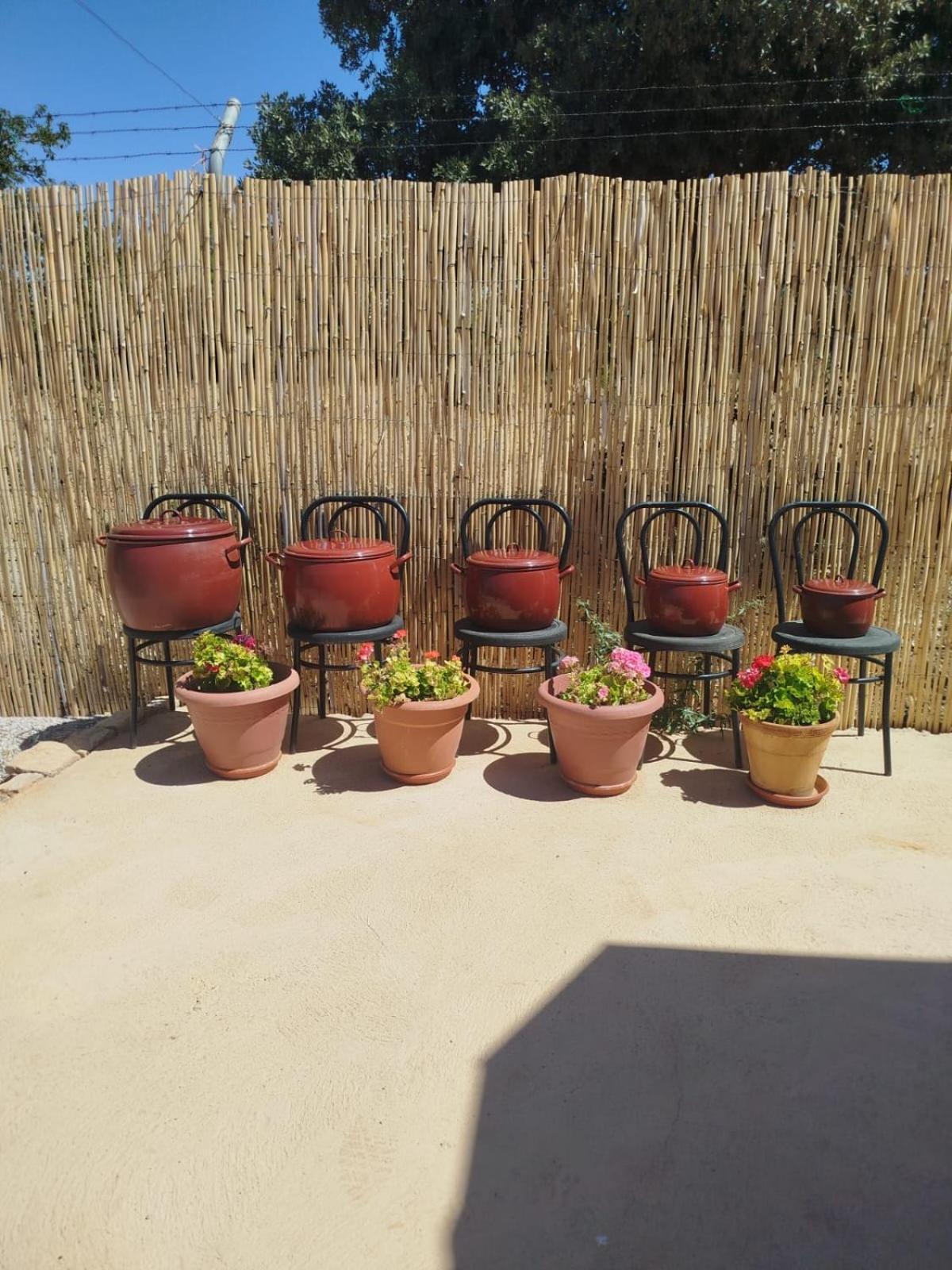 Villa Tranquila Lagunas De Ruidera 오사 데 몬티엘 외부 사진